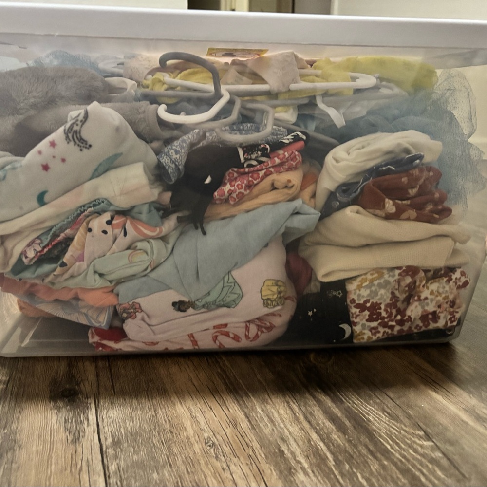 Baby girl Clothing bundle